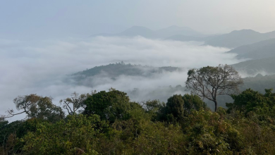 hill stations