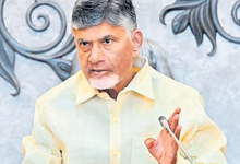TDP