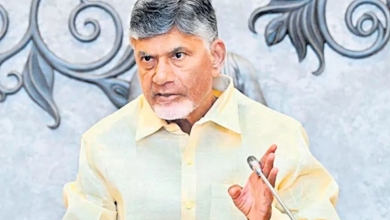TDP