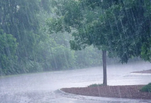 Rain