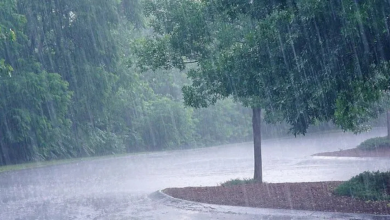 Rain