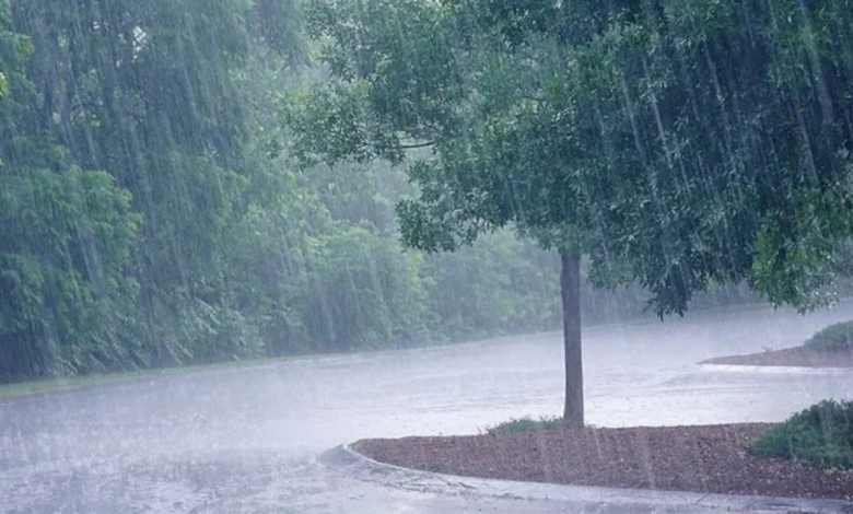 Rain