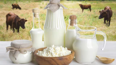 Non-veg milk