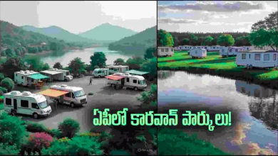 AP Tourism