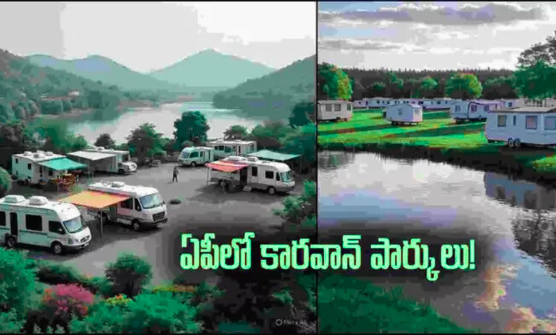 AP Tourism