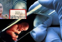 IVF