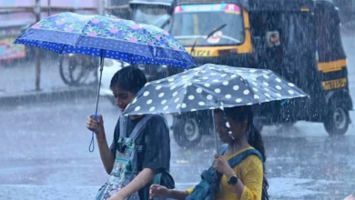 Rain Alert
