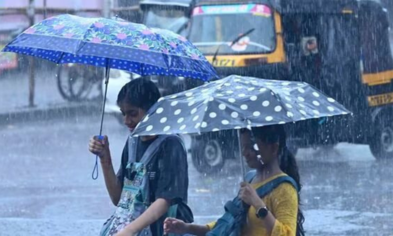 Rain Alert