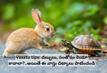 Vaastu-tips