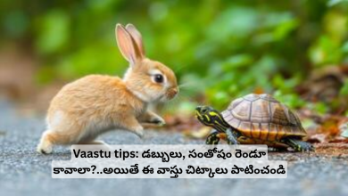 Vaastu-tips