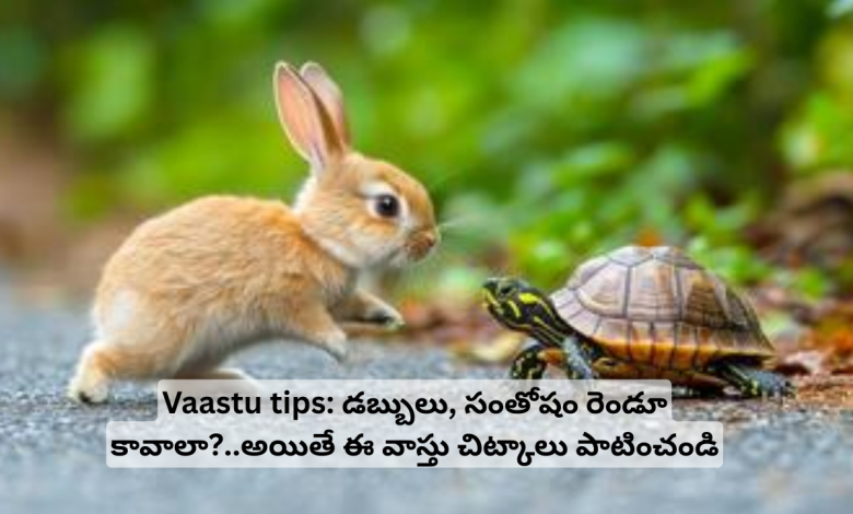 Vaastu-tips