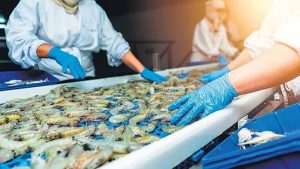 Aquaculture