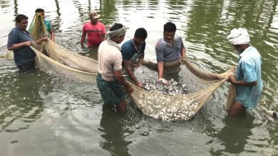 Aquaculture