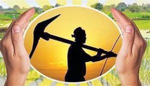 Farmer insurance