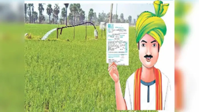Farmer insurance
