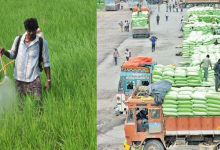 Farmers
