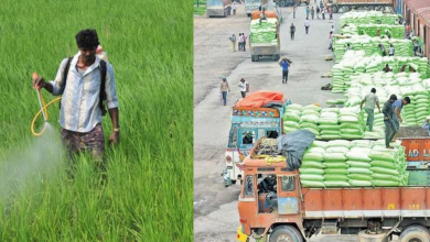 Farmers
