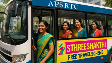Free bus