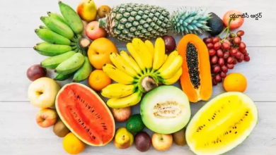 Fruits