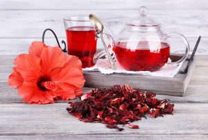 Hibiscus