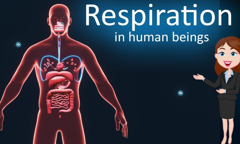 Human body