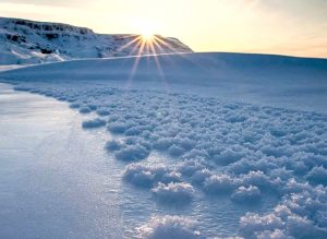Ice Flowers