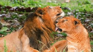 Visakhapatnam Zoo