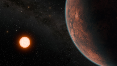 New planet