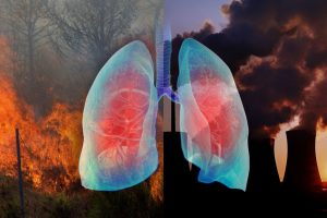 Pollution