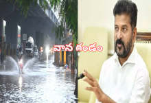 Rains