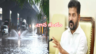 Rains