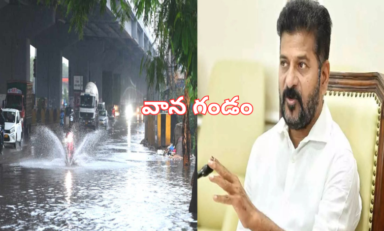 Rains