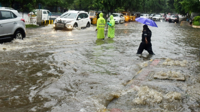 Rains