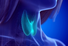 Thyroid