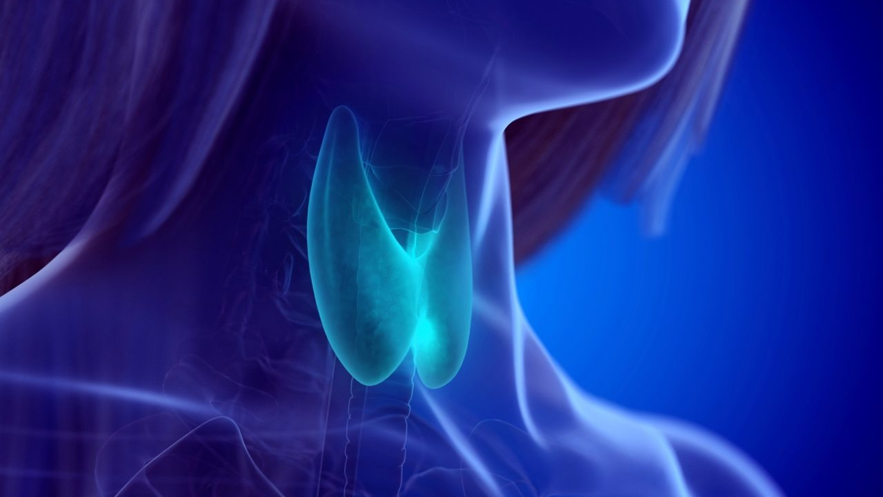 Thyroid