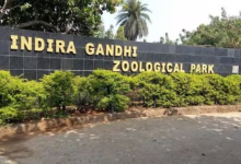 Visakhapatnam Zoo