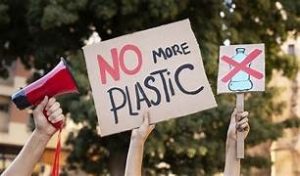 plastic-free