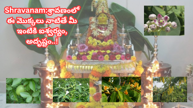 shravanam-masam-2025