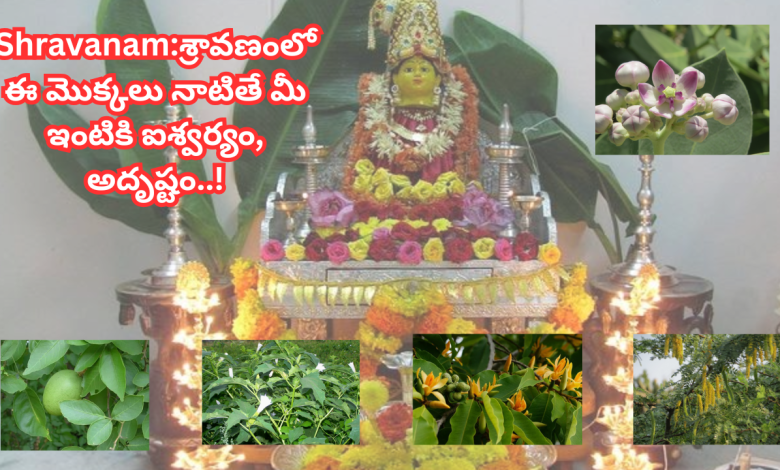 shravanam-masam-2025