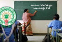 teachers