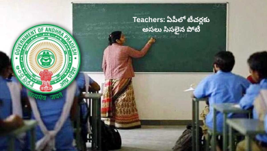 teachers