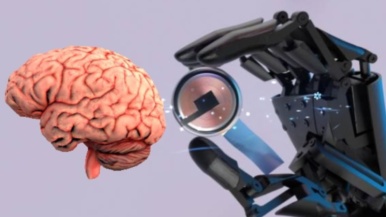 AI