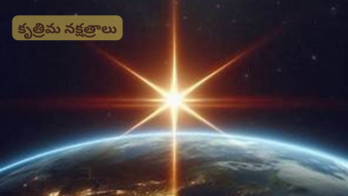 Artificial stars