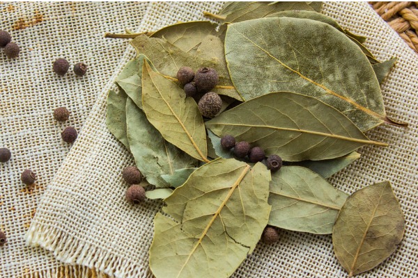 Biryani leaves
