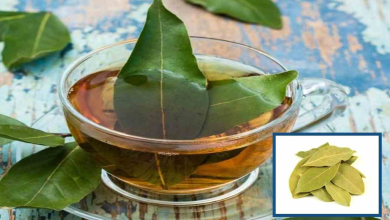 Biryani leaves