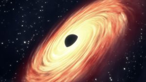 Black holes