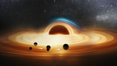 Black holes