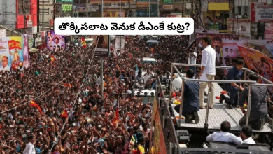DMK