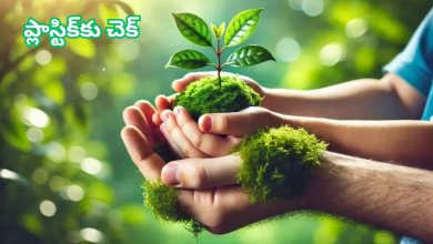 Eco-friendly