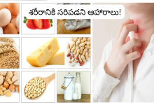 Foods